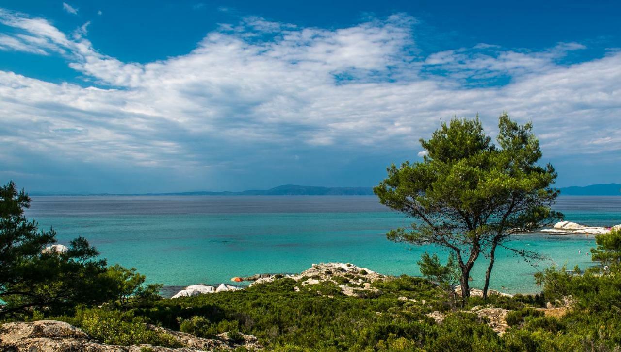 Apartmán family house Nikos Sykia Chalkidikis Exteriér fotografie